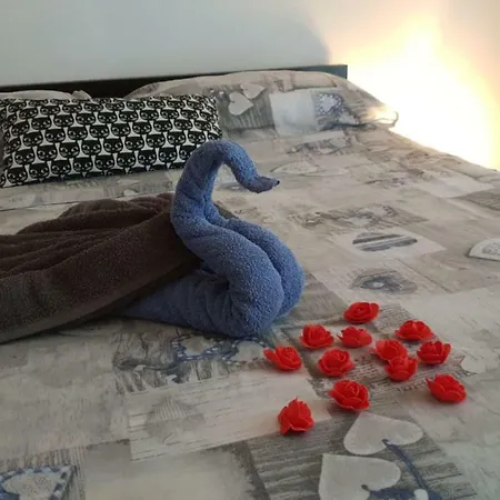 La Casa Di Tom *